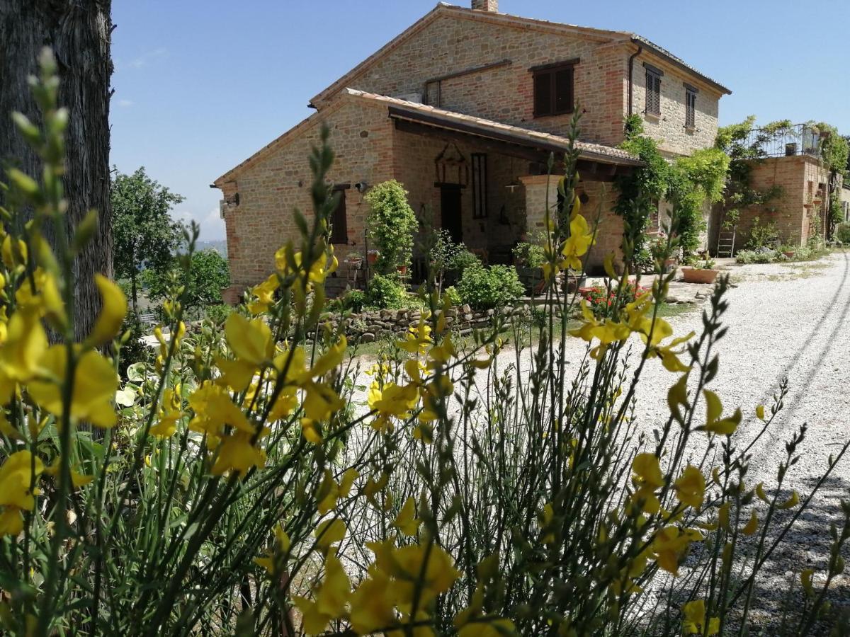 Casale San Martino Agriturismo Bio Sant'Angelo in Pontano Eksteriør billede