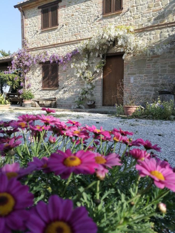 Casale San Martino Agriturismo Bio Sant'Angelo in Pontano Eksteriør billede