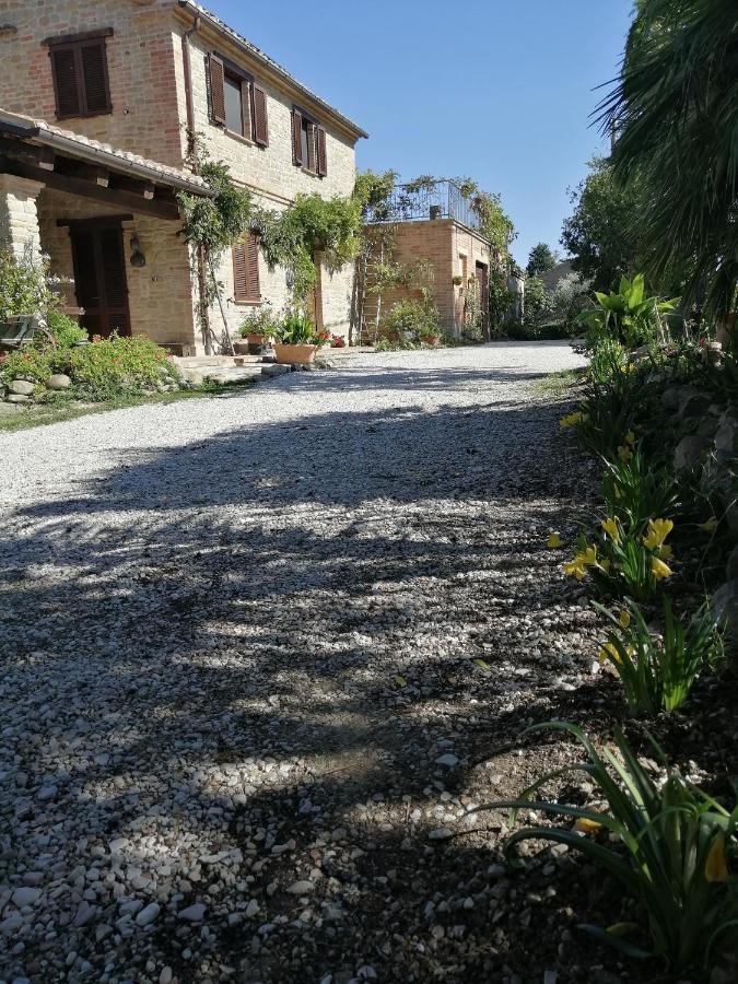 Casale San Martino Agriturismo Bio Sant'Angelo in Pontano Eksteriør billede