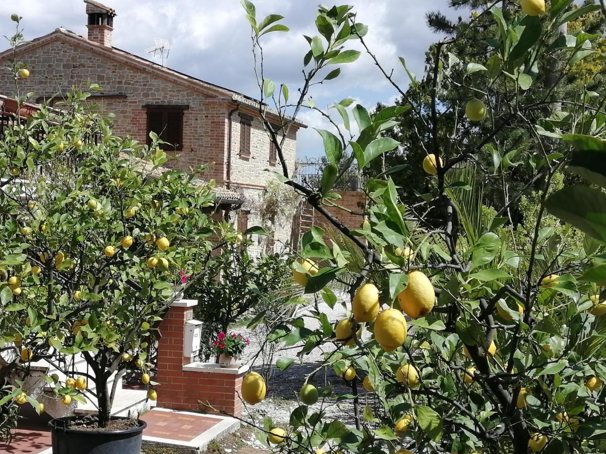 Casale San Martino Agriturismo Bio Sant'Angelo in Pontano Eksteriør billede