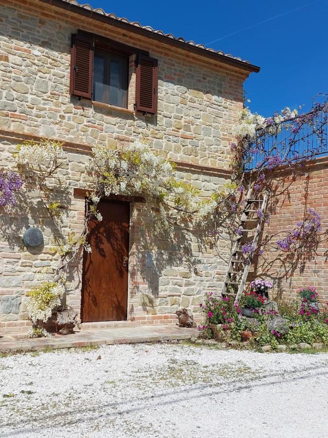 Casale San Martino Agriturismo Bio Sant'Angelo in Pontano Eksteriør billede