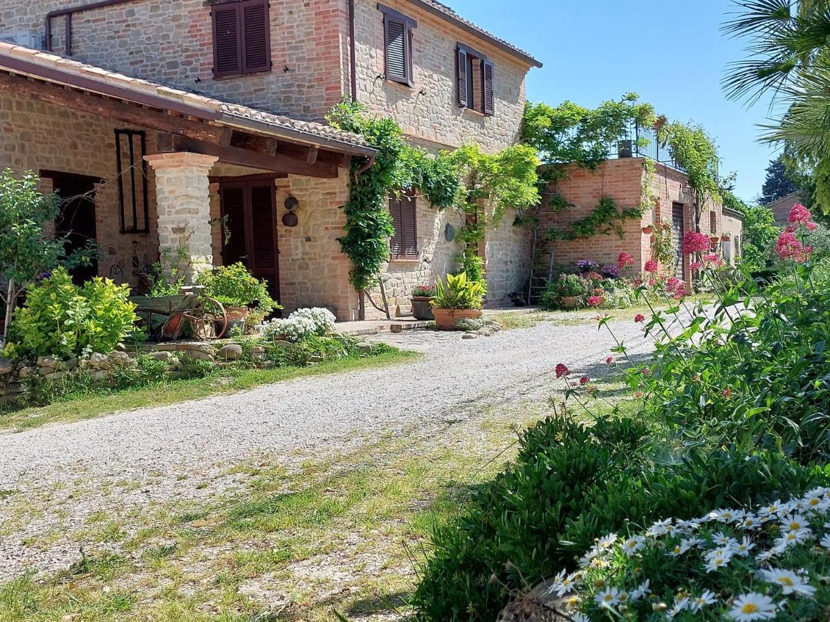 Casale San Martino Agriturismo Bio Sant'Angelo in Pontano Eksteriør billede