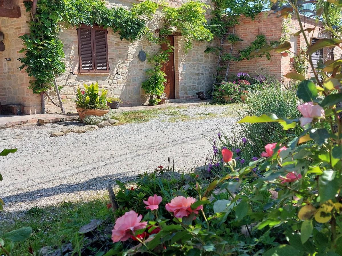 Casale San Martino Agriturismo Bio Sant'Angelo in Pontano Eksteriør billede