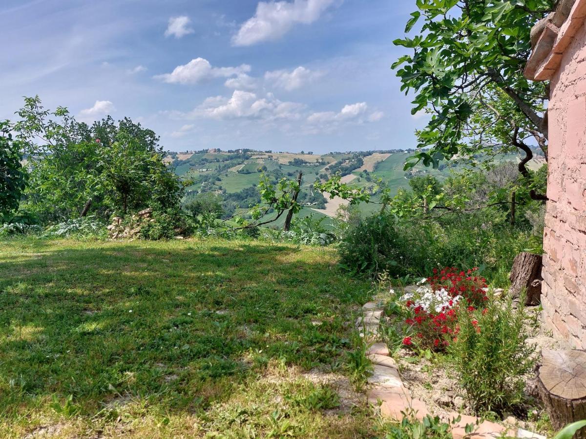Casale San Martino Agriturismo Bio Sant'Angelo in Pontano Eksteriør billede