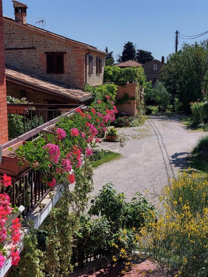 Casale San Martino Agriturismo Bio Sant'Angelo in Pontano Eksteriør billede