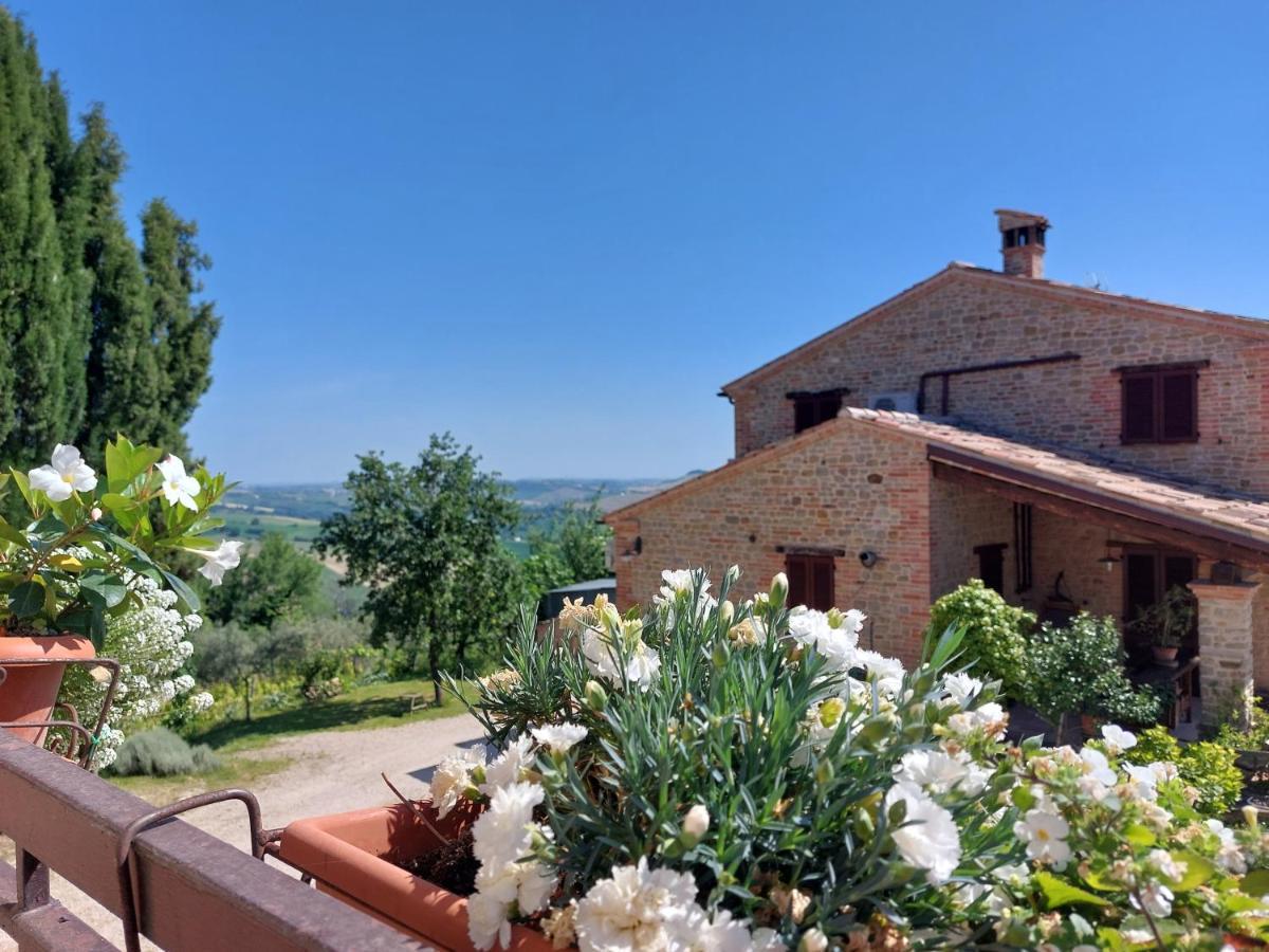 Casale San Martino Agriturismo Bio Sant'Angelo in Pontano Eksteriør billede