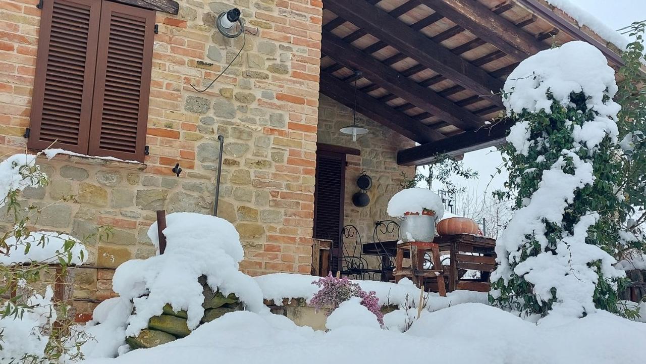 Casale San Martino Agriturismo Bio Sant'Angelo in Pontano Eksteriør billede