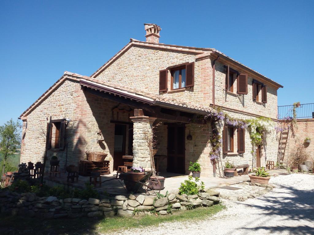 Casale San Martino Agriturismo Bio Sant'Angelo in Pontano Eksteriør billede