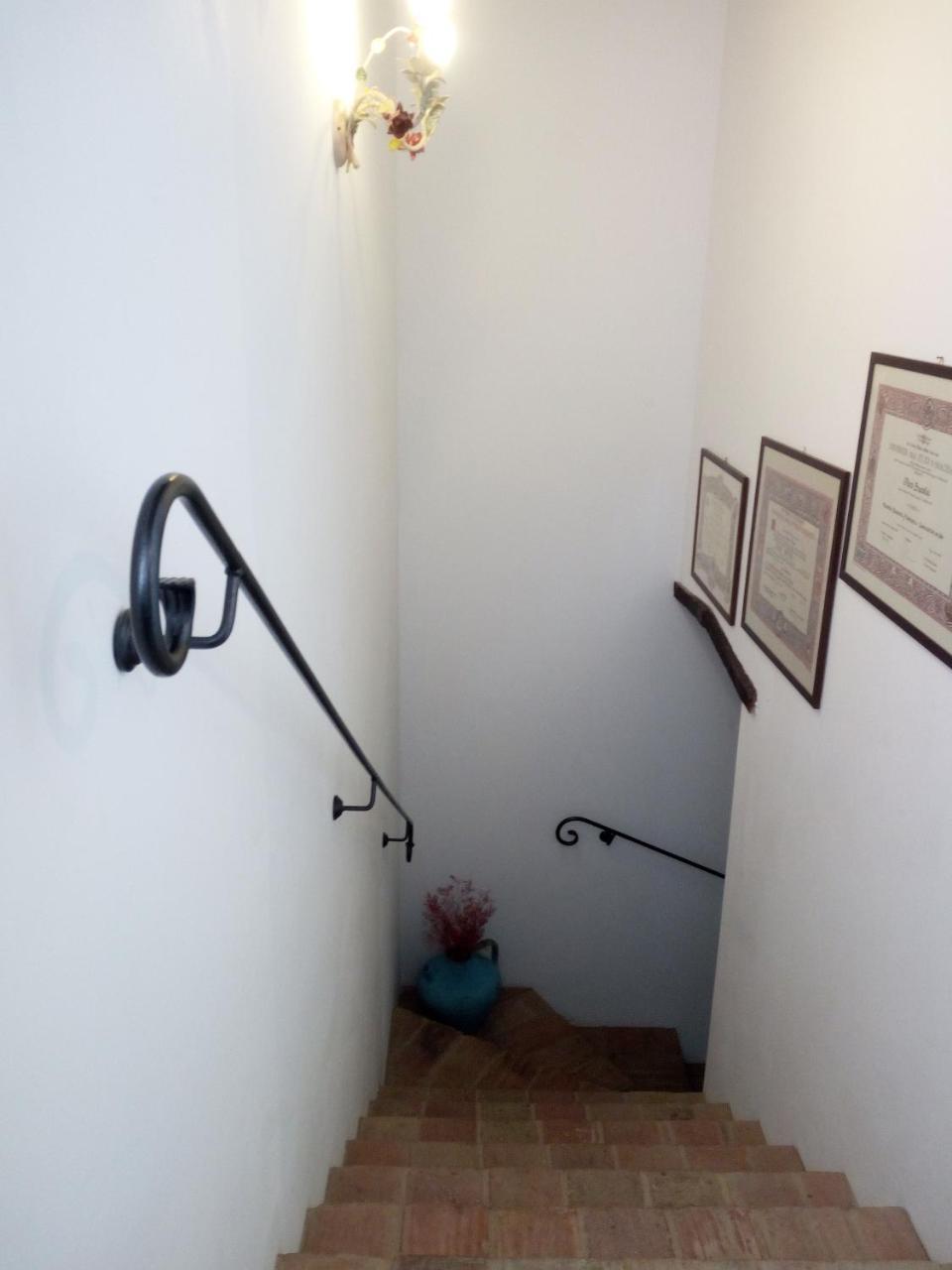 Casale San Martino Agriturismo Bio Sant'Angelo in Pontano Eksteriør billede