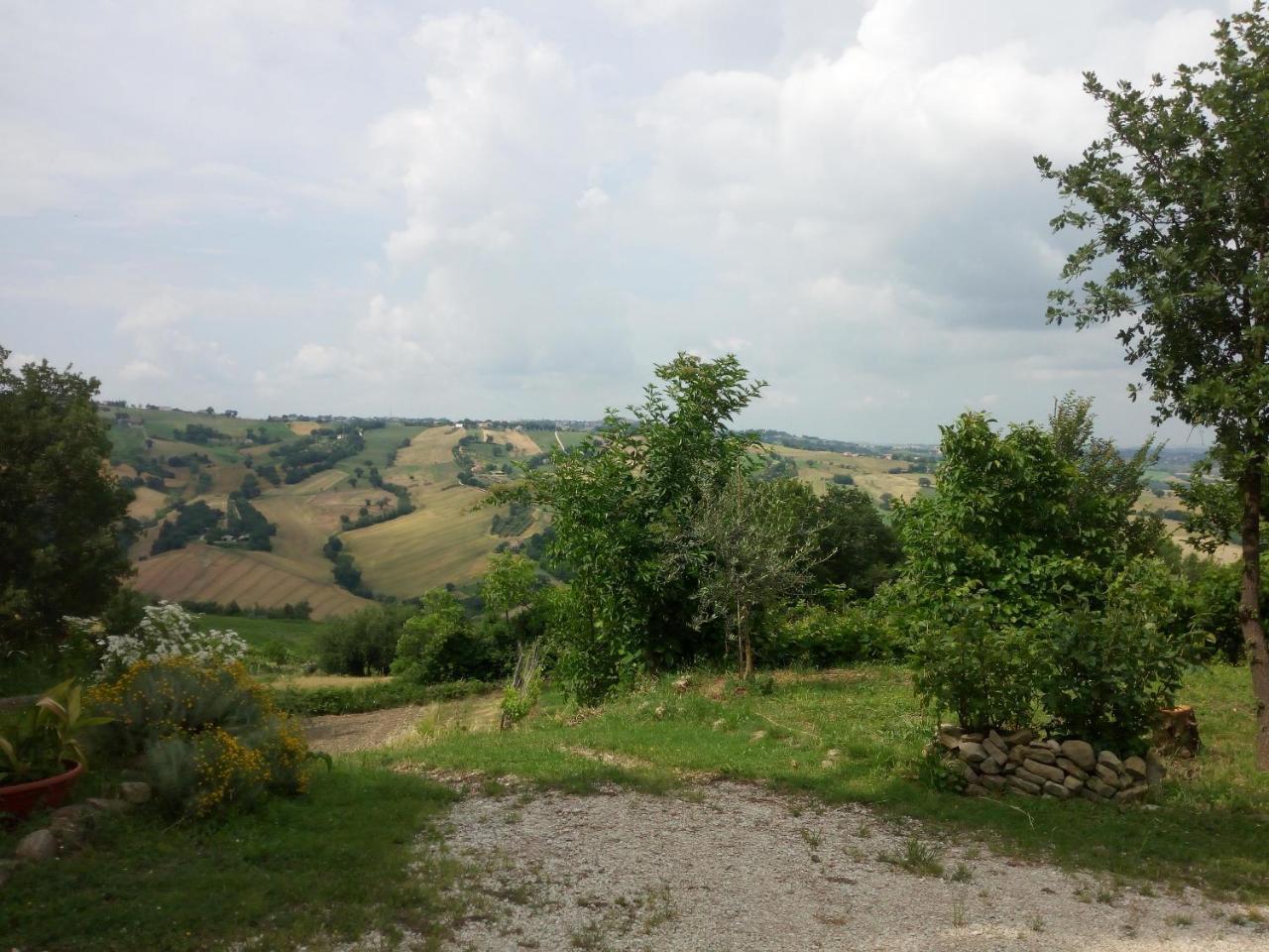 Casale San Martino Agriturismo Bio Sant'Angelo in Pontano Eksteriør billede